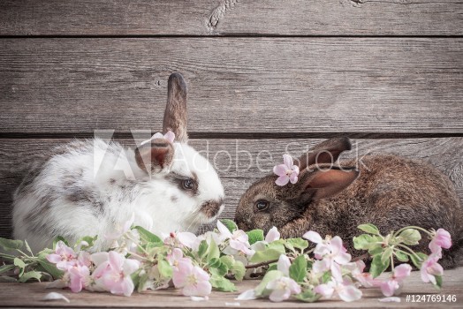 Picture of two rabbits with flowers on wooden background